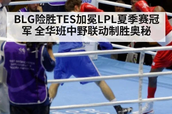 BLG险胜TES加冕LPL夏季赛冠军 全华班中野联动制胜奥秘